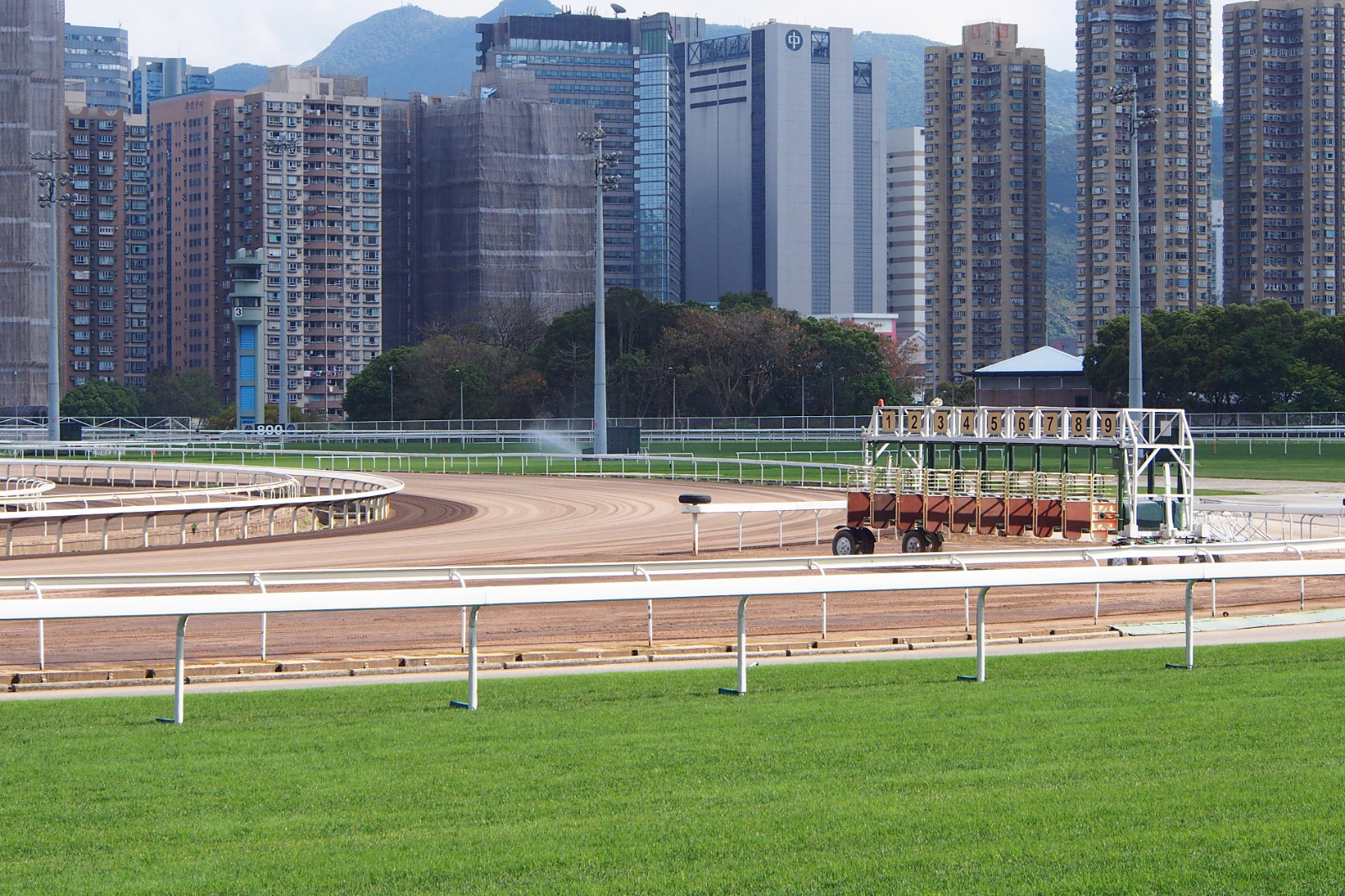沙田馬場