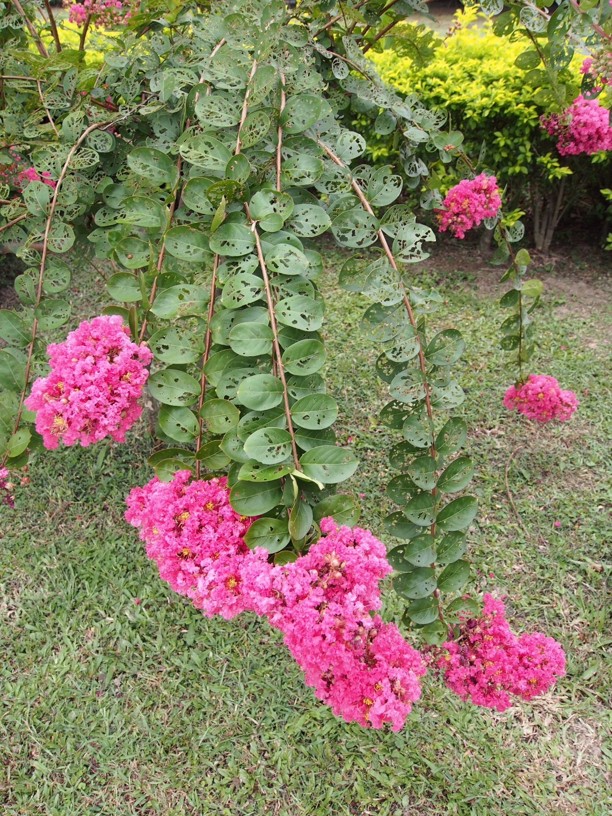 Day 2: 中正紀念堂