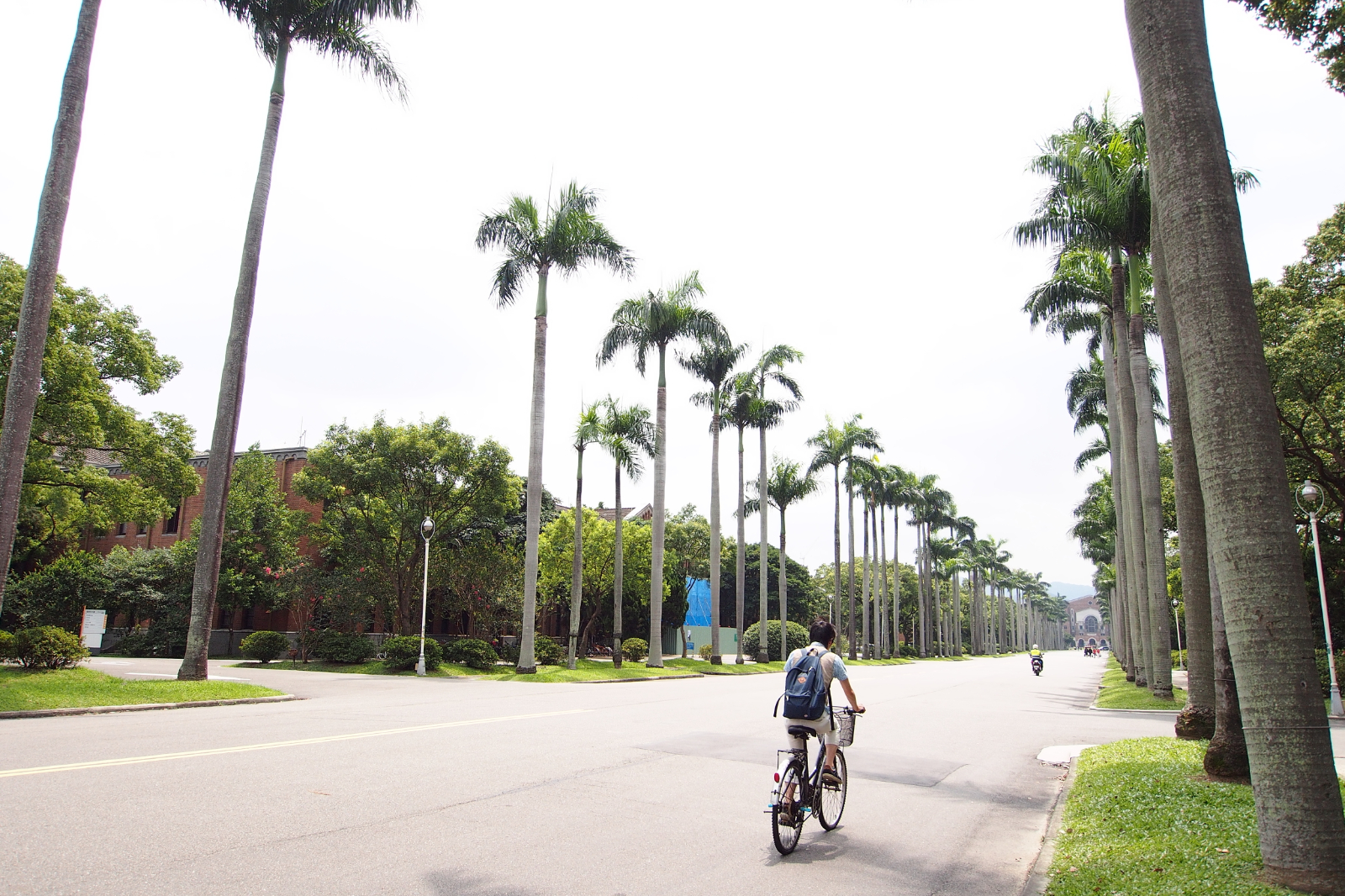 Day 4: 國立台灣大學